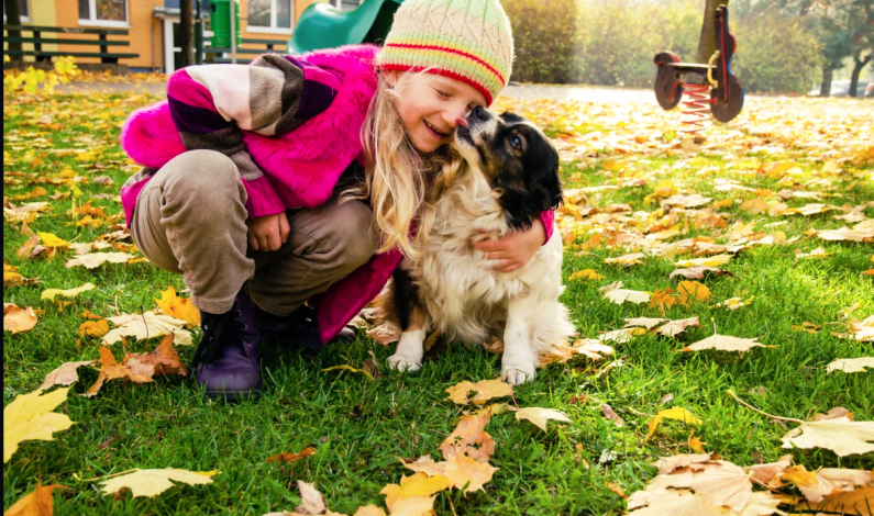 10 curiosidades sobre tu perro que seguramente desconocías 10 curiosidades sobre tu perro que seguramente desconocías