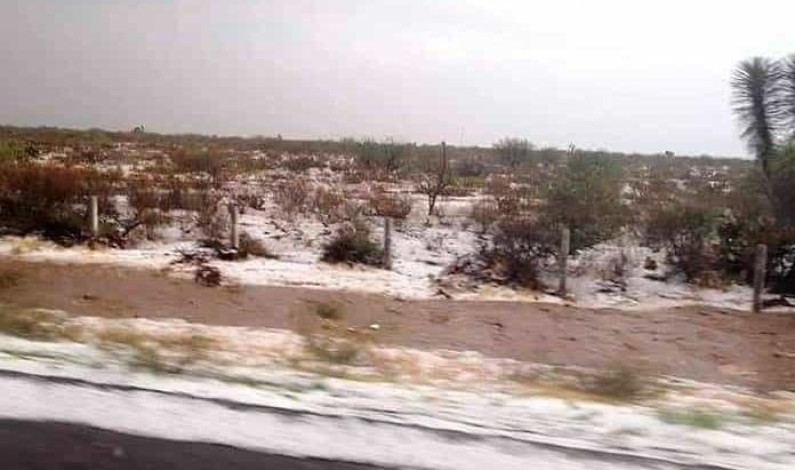 Granizo causa daños en tres municipios Granizo causa daños en tres municipios