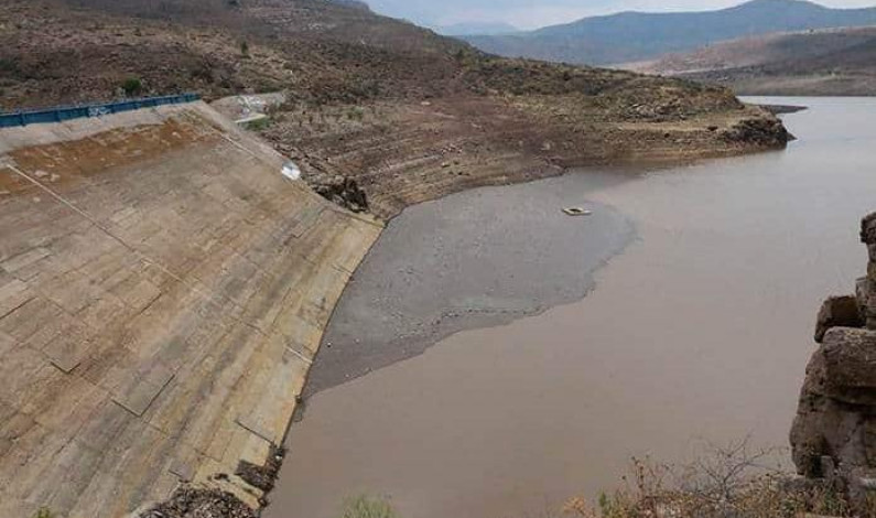 Lluvias trajeron esperanza al campo Lluvias trajeron esperanza al campo