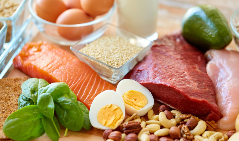 Proteína en la dieta Proteína en la dieta