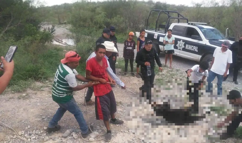 Suspenden a 5 policías por no impedir tortura de oso Suspenden a 5 policías por no impedir tortura de oso