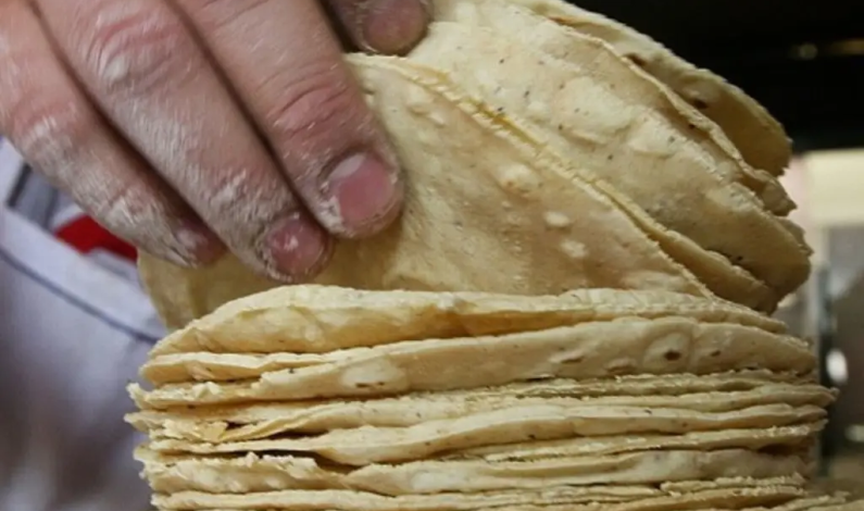 Me preocupa aumento en precio de tortilla, dice AMLO