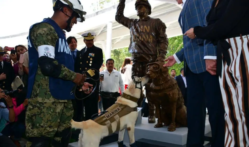 Develan estatua en honor a Frida, la perrita rescatista Develan estatua en honor a Frida, la perrita rescatista