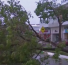 Continúa el peligro en Florida tras el paso del huracán Ian