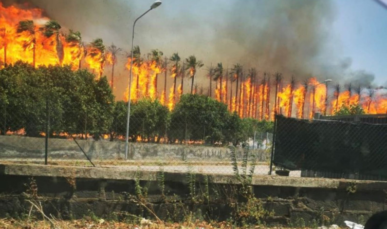 Encuentran 5 cuerpos calcinados por incendios en la isla de Sicilia Encuentran 5 cuerpos calcinados por incendios en la isla de Sicilia