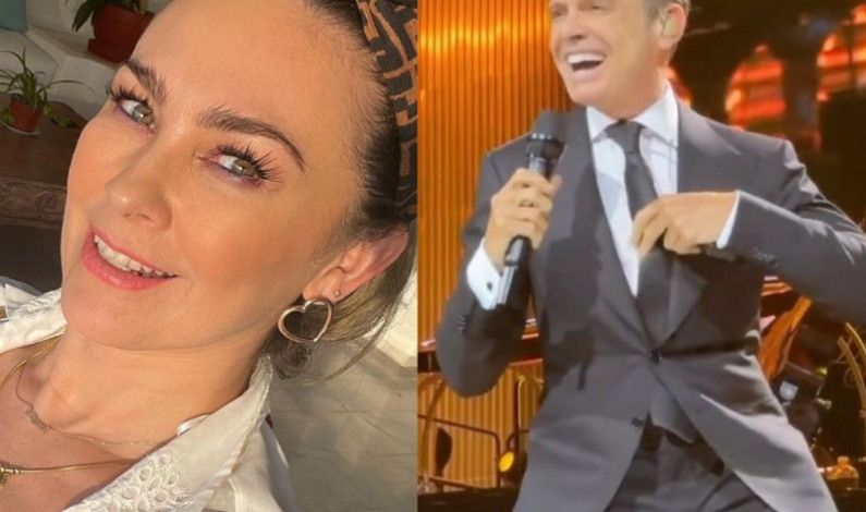 Aracely Arámbula critica a Luis Miguel por no ver a sus hijos y dice que «le cae muy mal» Aracely Arámbula critica a Luis Miguel por no ver a sus hijos y dice que «le cae muy mal»