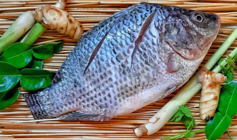 Mujer sufre amputación de todas sus extremidades tras consumir pescado en mal estado Mujer sufre amputación de todas sus extremidades tras consumir pescado en mal estado