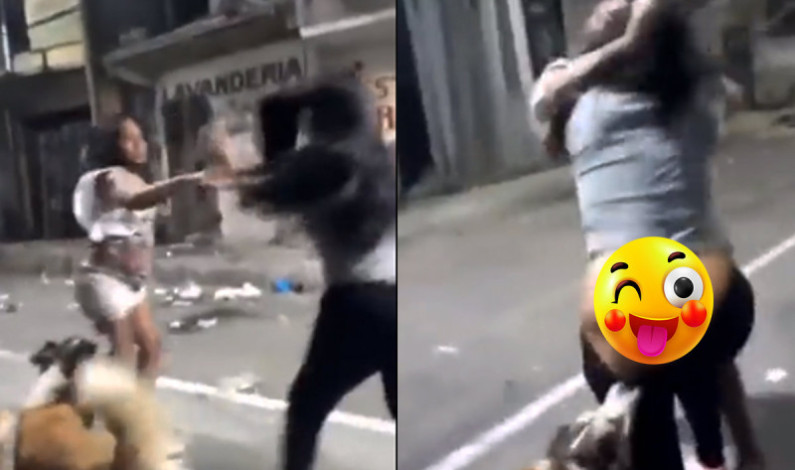 Déjala sin calzones, déjala… firulais se mete en riña entre mujeres; hay video Déjala sin calzones, déjala… firulais se mete en riña entre mujeres; hay video