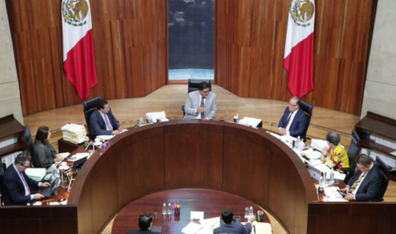 Tribunal Electoral cambia fecha de inicio de precampañas, empezarán la tercera semana de noviembre Tribunal Electoral cambia fecha de inicio de precampañas, empezarán la tercera semana de noviembre