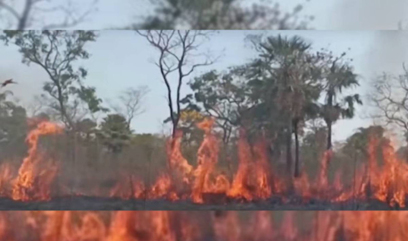 Por incendios forestales Bolivia suspende clases en 15 por ciento de sus escuelas