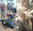 Trabajadores encontraron cocodrilo de 3 metros en acueducto de Tamaulipas