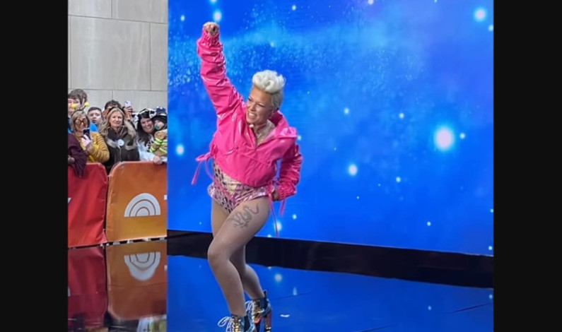 En protesta Pink regala dos mil libros prohibidos durante sus conciertos En protesta Pink regala dos mil libros prohibidos durante sus conciertos