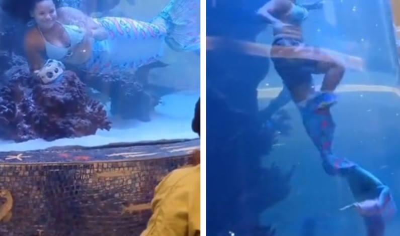 Mujer disfrazada de sirena casi muere ahogada en espectáculo Mujer disfrazada de sirena casi muere ahogada en espectáculo
