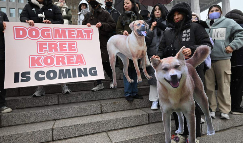 Corea del Sur prohíbe oficialmente el comercio de carne de perro; su consumo queda casi prohibido