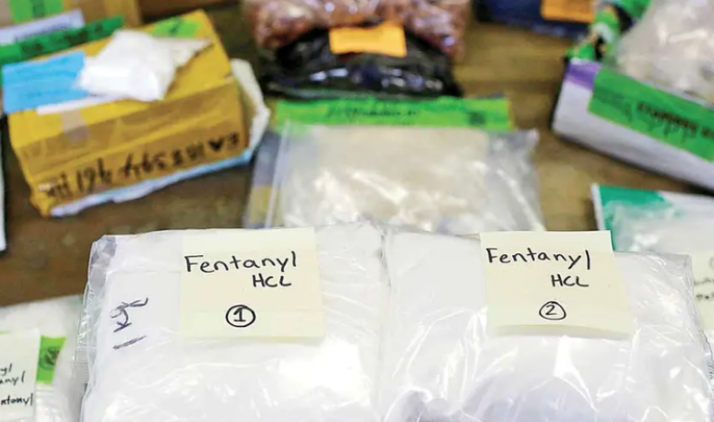 Los decomisos de drogas en EU rompen récord; vinculan al narco mexicano Los decomisos de drogas en EU rompen récord; vinculan al narco mexicano