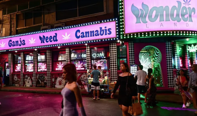 Tailandia volverá a prohibir la mariguana; se vende hasta en puestos ambulantes Tailandia volverá a prohibir la mariguana; se vende hasta en puestos ambulantes