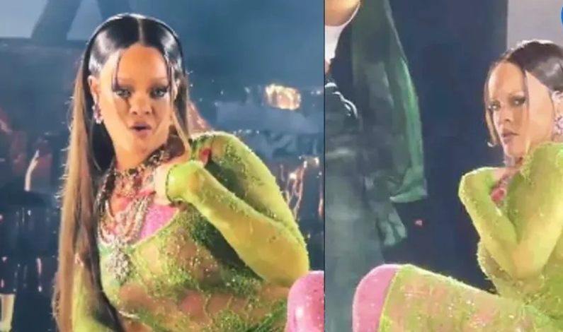 Rihanna es llamada «Floja y Aburrida» tras ofrecer show privado en Boda