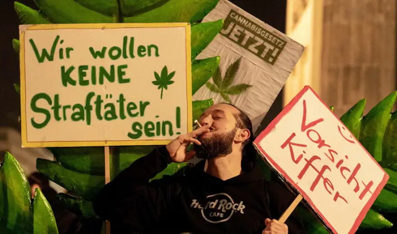 Legalizan consumo de marihuana en Alemania Legalizan consumo de marihuana en Alemania