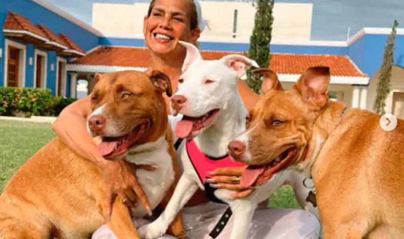 Acusan a Niurka Marcos por supuestamente sacrificar perritos en rituales de santería Acusan a Niurka Marcos por supuestamente sacrificar perritos en rituales de santería