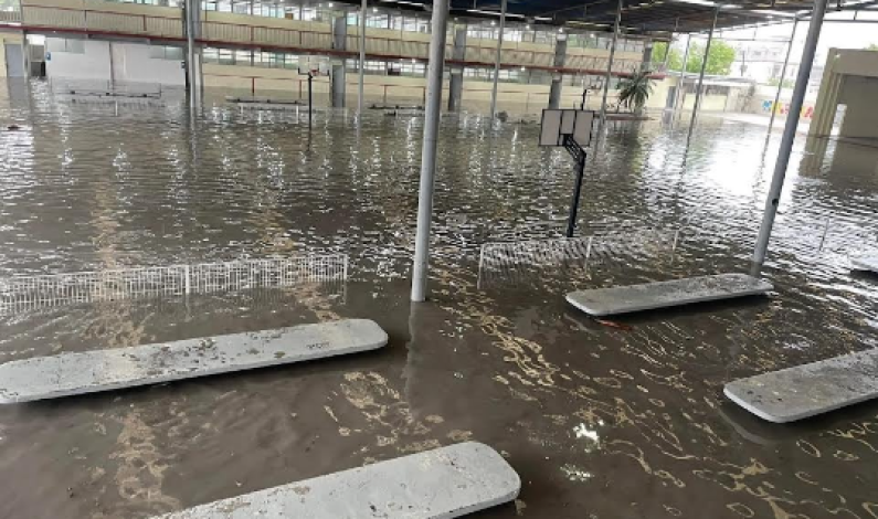 Caos en Tamaulipas por fuertes lluvias: causan daños a autos, casas y escuelas Caos en Tamaulipas por fuertes lluvias: causan daños a autos, casas y escuelas