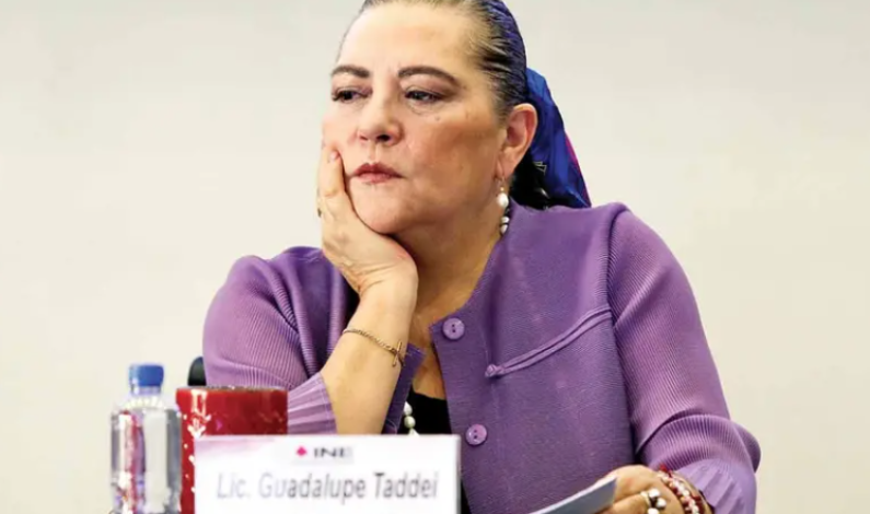 INE advierte boicot a la elección judicial; activará protocolos INE advierte boicot a la elección judicial; activará protocolos