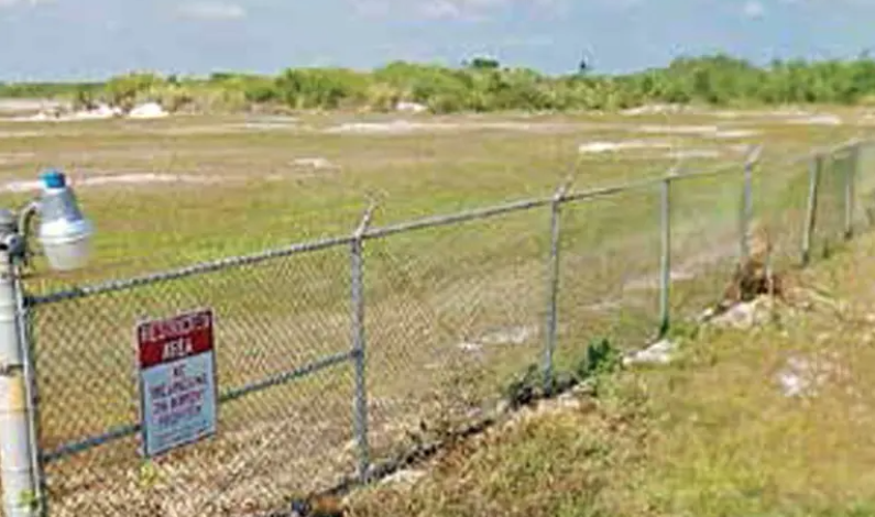 Alistan ‘Alcatraz’ para migrantes en Florida; el área estará rodeada de caimanes y pitones Alistan ‘Alcatraz’ para migrantes en Florida; el área estará rodeada de caimanes y pitones