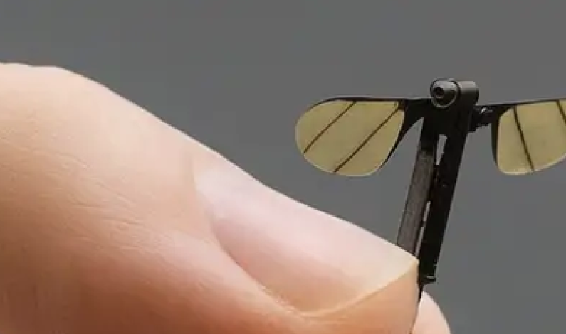 China desarrolla un mosquito biónico para espionaje militar China desarrolla un mosquito biónico para espionaje militar