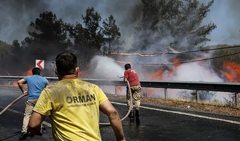 Más de 50 mil personas evacuadas en Turquía por incendios forestales Más de 50 mil personas evacuadas en Turquía por incendios forestales