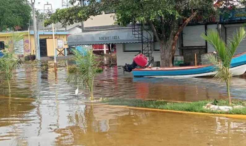 Se desborda laguna en Altamira, Tamaulipas Se desborda laguna en Altamira, Tamaulipas