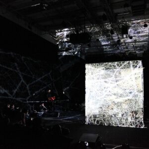 Se ha traducido la estructura de una tela de araña en sonido y así es como suena