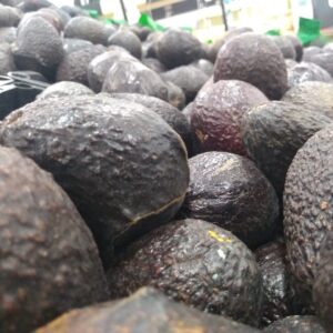 VENDEN KILO DE AGUACATE …¡HASTA EN 70 PESOS!