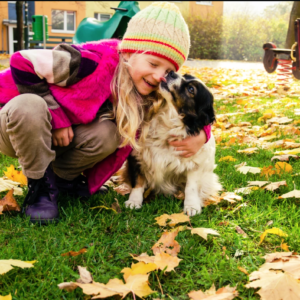 10 curiosidades sobre tu perro que seguramente desconocías