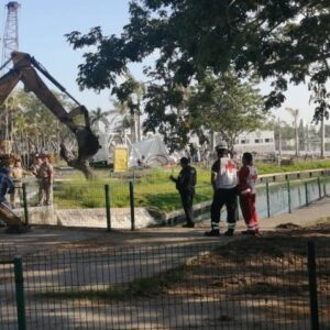 Cocodrilo ataca y quita la vida a una persona