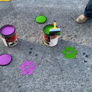 Pintan pasos peatonales con huellas de perritos en Tamaulipas