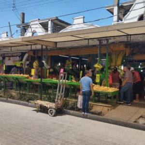 Urge frenar alza de la canasta básica