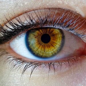¿Sabías? Los ojos hacen más ejercicio que las piernas