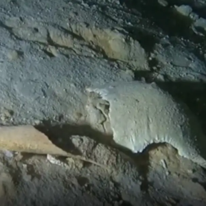 Hallan fósil humano de mÔs de 8 mil años de antigüedad, debajo de Tren Maya