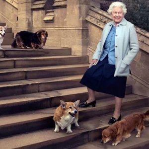 La Reina Isabel II y su obsesión por los perros corgi