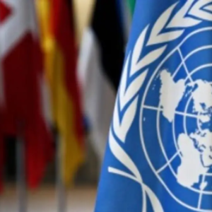 Piden que la ONU regule la ciberseguridad mundial