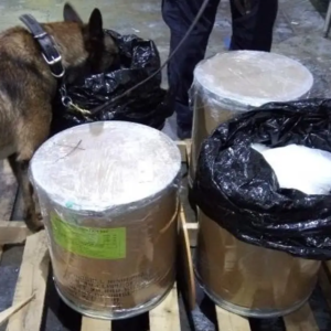 Estamos evitando la entrada de fentanilo y destruyendo laboratorios