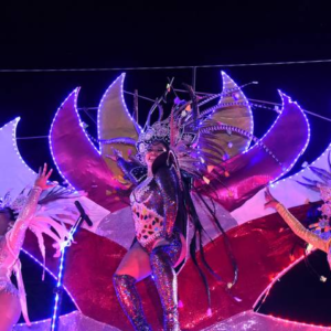 Carnaval del Bicentenario de Tampico tendrá 1 mdp en premios, ¿ya te inscribiste?