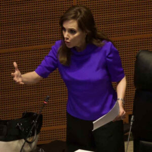 Lily Téllez cuestiona procedimiento de selección para candidato a la presidencia