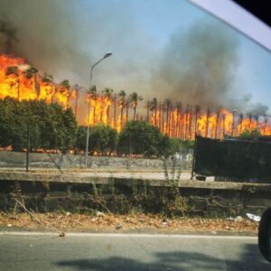 Encuentran 5 cuerpos calcinados por incendios en la isla de Sicilia