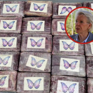 Alcaldesa estaba de vacaciones… y encuentra mĆ”s de 30 kg de cocaĆna mientras pescaba