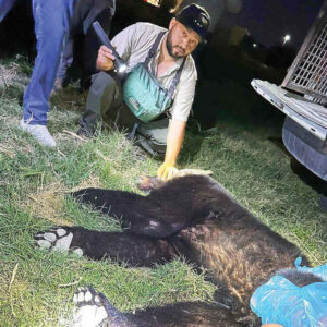 Muro flotante, trampa para venados, osos y seres marinos