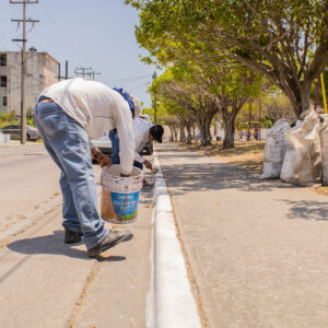Ciudad Madero Impulsa Programas de Embellecimiento Urbano