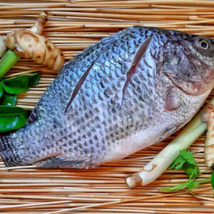 Mujer sufre amputación de todas sus extremidades tras consumir pescado en mal estado