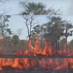 Por incendios forestales Bolivia suspende clases en 15 por ciento de sus escuelas