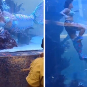 Mujer disfrazada de sirena casi muere ahogada en espectáculo