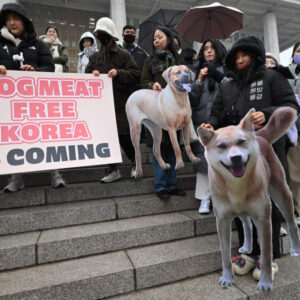 Corea del Sur prohíbe oficialmente el comercio de carne de perro; su consumo queda casi prohibido